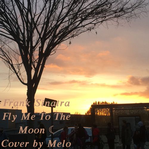 Fly Me To The Moon - Frank Sinatra - Cover by Melo